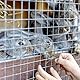 CCLIFE Hühnerzaun Geflügelnetz , Maschenweite 6.3 mm , Höhe 100 cm , Länge 2/5 m , Verzinkt Silber