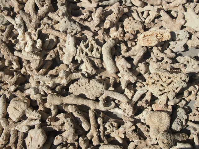 サンゴ砂456Kg  濾過剤 楽天市場】サンゴ砂 ろ過材の通販