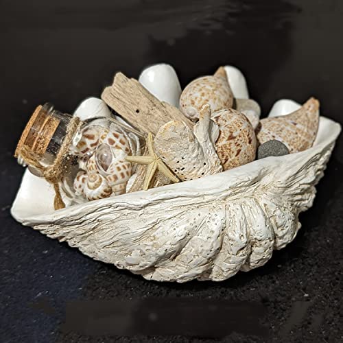 Huey House Clam Shell Sculpture - Handcrafted Small White Resin Replica - Seashell For Home Decoration - 9.06Lx 5.9Wx 4.33H #TOP6
