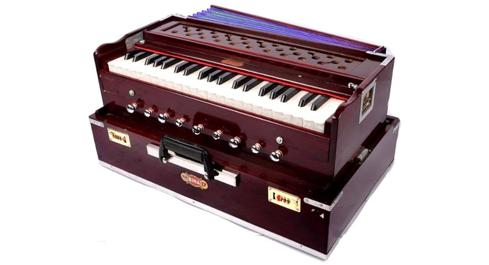 インド鍵盤楽器ハルモニウム(portable bina Harmonium) Bina Portable Professional Harmonium no. 17 Dx : Amazon.ca