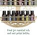 SoCal Buttercup Essential Oil Holder Organizer Shelf - Gold - Nail Polish and Essential Oils Storage - Metal Wall Hanging Mounted Rack for Bottles - Tree of Life Shelves