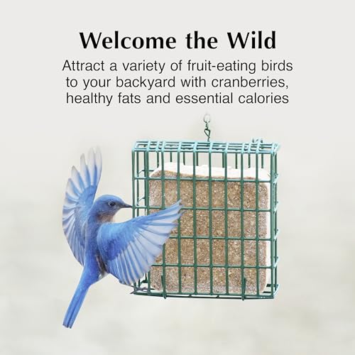 Image of C&S Cranberry Delight No Melt Suet Dough, Suet Cakes for Wild Birds Including Robins, Blue Jays, Bluebirds, Tanagers, Thrushes and More, 8 Pack
