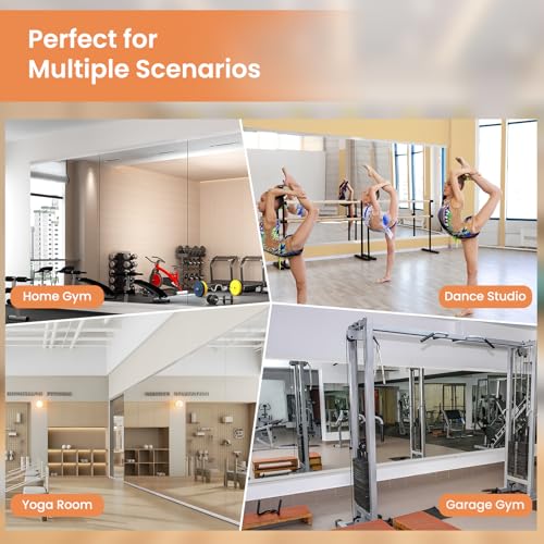 Image of LOAAO Home Gym Mirror 54 inchx30 inch, 2 PCS