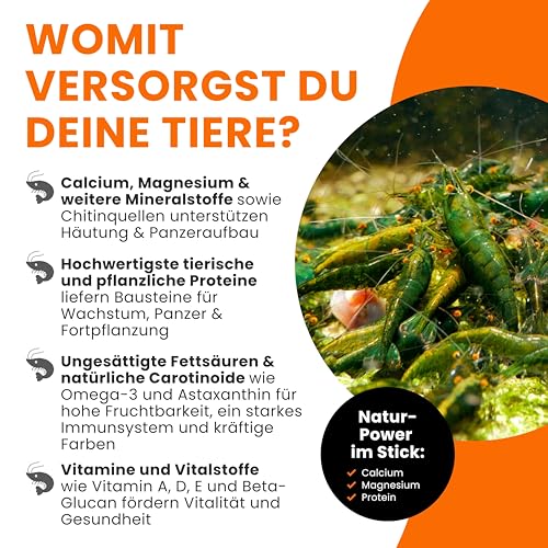 GARNELEN4YOU® Mineral Sticks - mineralienreiches Hauptfutter für Garnelen, Krebse und Schnecken - Premium Garnelenfutter mit erhöhtem Mineralstoffanteil - Made in Germany (30 g)
