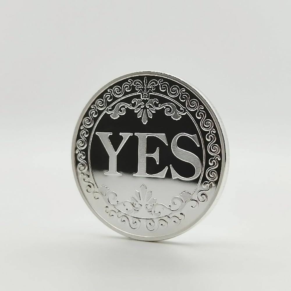 Sì No Monete da Sfida, Badge Commemorativo in Metallo, Distintivo Decisionale, Moneta da Collezione per Sfide, Argento (Stile 1)