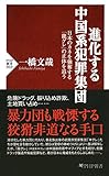 進化する中国系犯罪集団 日本のカネを強奪する「龍グレ」の正体を追う (PHP新書)