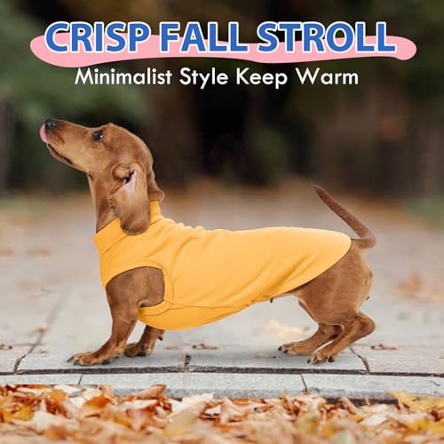 Image of Stretch Fleece Dachshund Sweater for Chilly Days, Yellow, L | Warm Sleeveless Dachshund Clothes, Lightweight Breathable Pullover Sweatshirts for Outdoor Movement, Wiener Dog Clothes