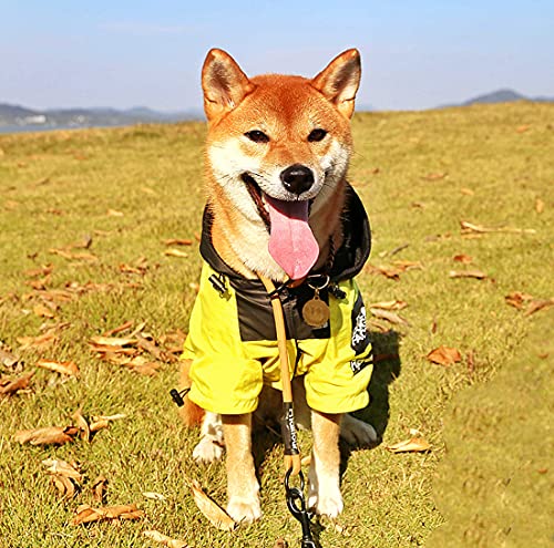 Hundemantel "The Dog Face" aus Polyester für Haustiere (gelb-4XL) Cover