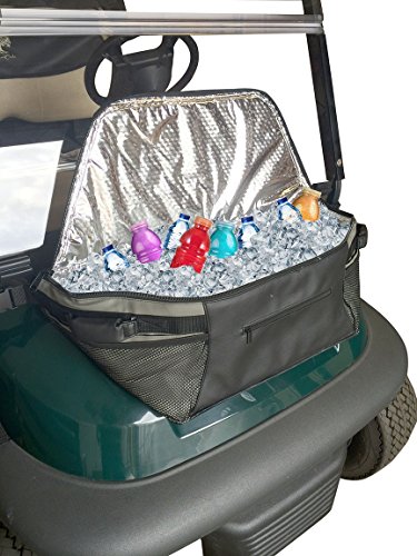 Coolest Buggy Cooler for Any Golf Cart with Any Roof
