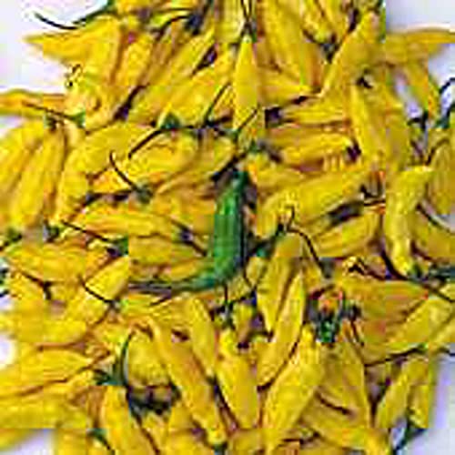 Lemon Drop Hot Peppers Seeds (20+ Seeds) | Non GMO | Vegetable Fruit Herb Flower Seeds for Planting | Home Garden Greenhouse Pack