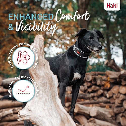 Image of Halti Anatomy Dog Collar | Size M, Grey | Wide Design Collar for Pressure Relief | Padded, Reflective & Adjustable | Matching Leash & Harness | For Medium Dogs