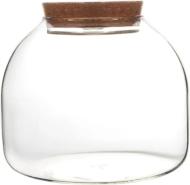 Large Glass Terrarium Jar with Cork Lid - 1600ml Plant Container