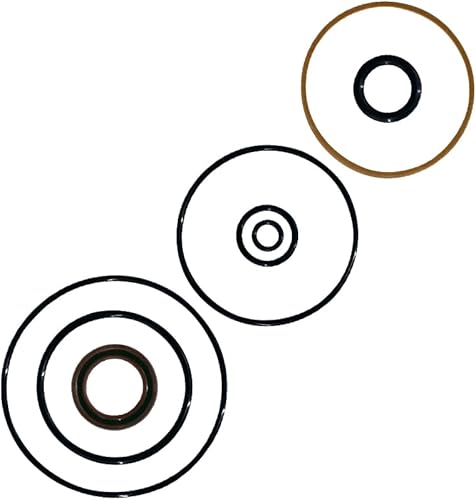 Miniatura 5 de CULMKARI Kit de sellos de reparación de pistón de moldura para Evinrude ETEC 75-115HP 2004-2012, reemplaza a 5008985 5008773 FSM016