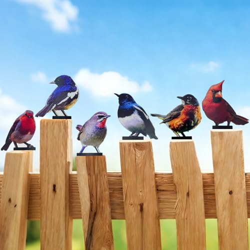 Qtaikong 6 PCS Color Painted Metal Bird Sculptures - Vivid 2D Garden Decor for Outdoor Fences Patio Yard for Bird Lovers