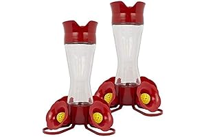 Perky-Pet 203CPBN-2 Pinch-Waist Glass Hummingbird Feeder with Perches