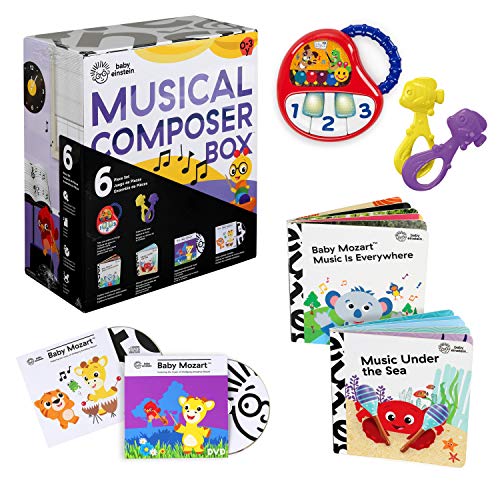 Baby Einstein Musical Discovery Experience Box