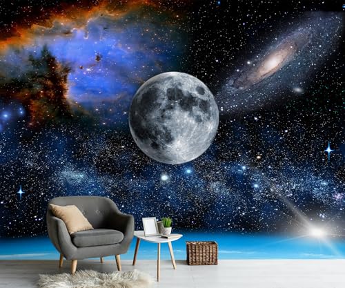 PYFFYP- Galaxy Wallpaper Blue Planet Wall murals for Ceiling ?Not Peel and Stick?
