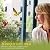 chunhai Clear Bird Feeder for Window