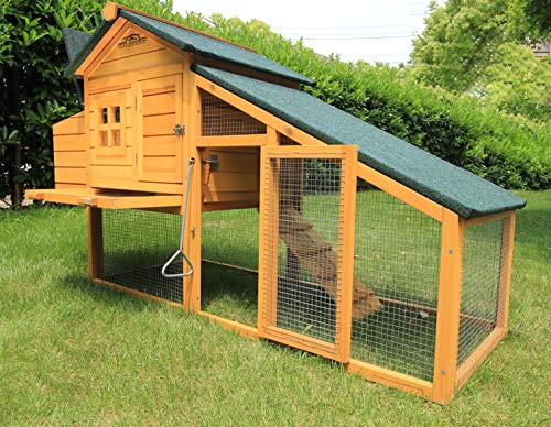 Pets Imperial® Warwick Hühnerstall mit Auslauf - Hühnerstall aus Holz mit Nistkasten und ausziehbarem Tablett - 175 cm… – Bild 5