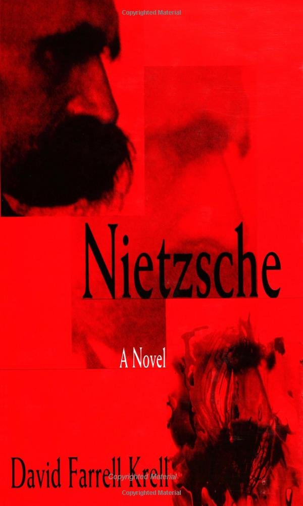 Nietzsche: A Novel (S U N Y Series in Contemporary Continental Philosophy)