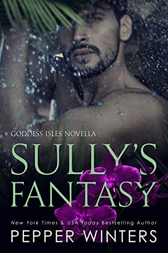 Sully's Fantasy B08BKS64RG Book Cover