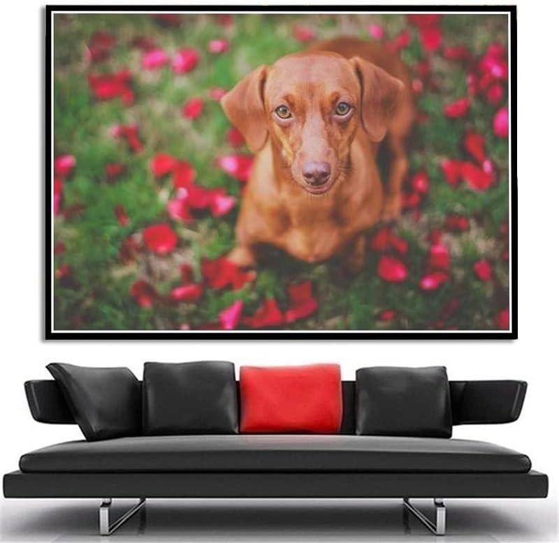 Dachshund - Kit de pintura con diamantes para perros y mascotas, para adultos, arte de diamantes 5D con diamantes, kit de pintura de bricolaje por
