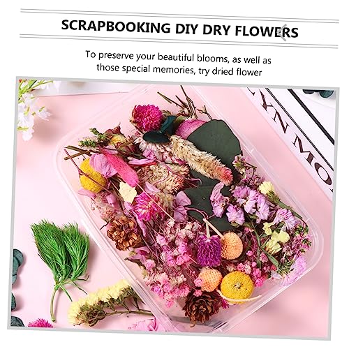 Set de Flores Secas DIY 10 Flores Naturales para Manualidades miniatura 4