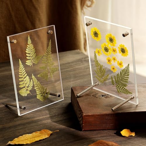 Cadre d'affichage transparent pour protéger vos herbiers DIY - 7