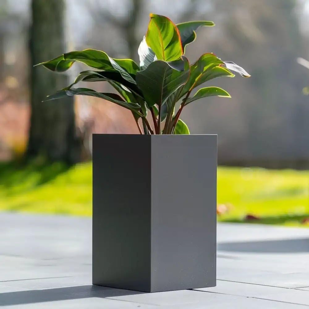 Tulipy Zinc Galvanised Tall Square Planter | No Assembly Needed | Lightweight (Matte Grey, L25cm x W25cm x H50cm)