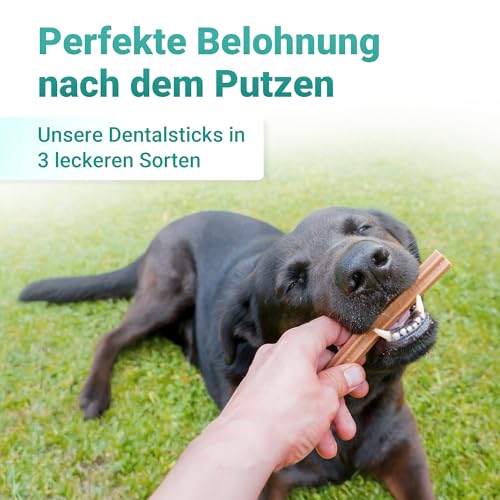emmi-pet Zahnpflegeset für Hunde - 1x3köpfige Hundezahnbürste mit 1x Hundezahnpasta und 2x Fingerzahnbürste (Pink, Welpe - Junghund)