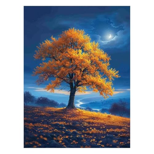 G  G |Lbg yCgoCio[  Lbg  ANG̋ M LoX 40 x 55cm EH[A[g  LoXGpLrO[Q̉Ƃ̑ Ǐ Mtg JLYH-4860