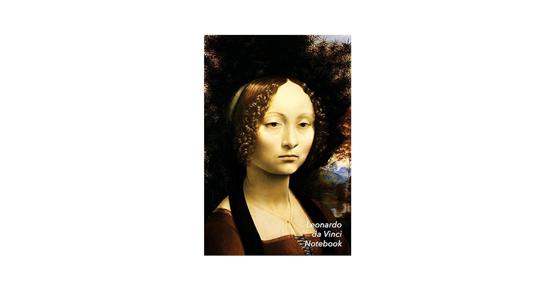美術書 ダヴィンチLeonardo & Venezia Bompiani 美術書 ダヴィンチLeonardo & Venezia Bompiani