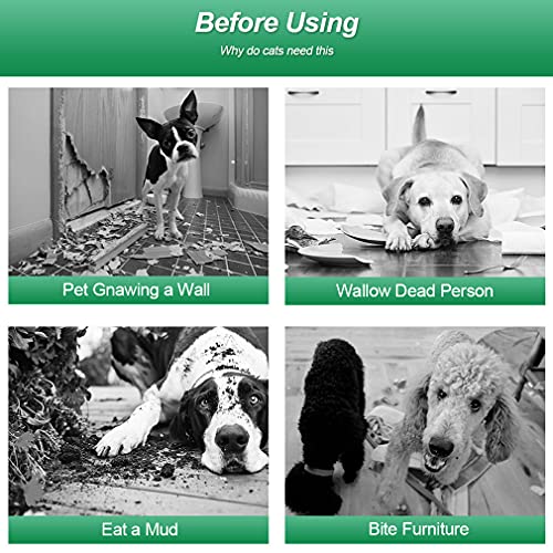 Image of BestPet | Dog Playpen | 40 Inch, 24 Panels | Heavy Duty Metal Pet Exercise Pen | Indoor Outdoor Fence Panels | Rust-Resistant, Removable, Tool-Free Setup | Anti-Skid, Expandable Design