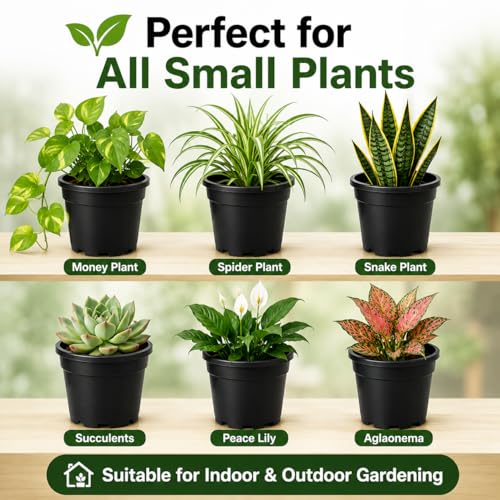 Image of Indian Gardens - 4 inch Indoor (Pack of 10) Plastic Small Colour pots | Plastic Plant Pot for Terrace Garden (Black)