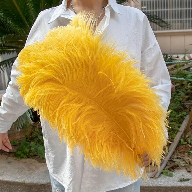 TUITA 10pcs White Large Ostrich Feather 15-55cm for Wedding Party Carnival Decoration Natural Ostrich Feathers Crafts DIY Accessories