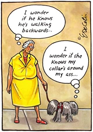 Humorous Greeting Card (PLK8795) - Blank/Birthday - Walking Backwards