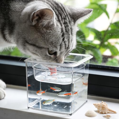 Pecera transparente Beavorty de plástico para escritorio y hogar 7
