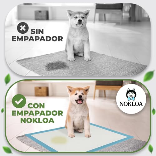 Miniatura 7 de Nokloa Empapadores Perros 60x60 Con Olor Césped Pack 50 Nokloa Almohadillas Entrenamiento Perro Tapetes Absorbentes Desechables