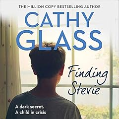 Finding Stevie cover art