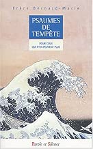 Download Psaumes de tempête : Pour ceux qui n'en peuvent plus PDF
