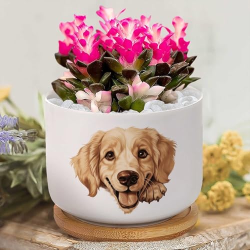 Yelolyio Macetas personalizadas de cerámica Golden Retriever, maceta pequeña de cerámica para plantas de interior