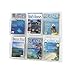 SAF5607CL - Safco Six Magazines Literature Display Rack