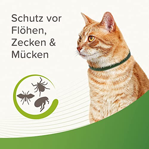 Beaphar Zecken- und Flohschutz Halsband 35cm, Katze