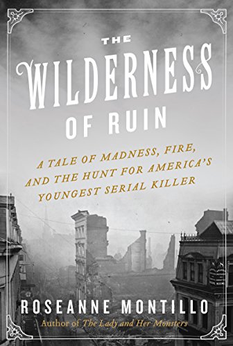 The Wilderness of Ruin: a Tale of Madness, Fire