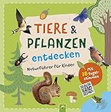 Tiere und Pflanzen entdecken mit 38 Vogelstimmen als QR-Codes: Naturführer für Kinder ab 7 Jahren: Viele spannende Infos, reale Bilder und Anleitungen regen zum Rausgehen und Experimentieren an