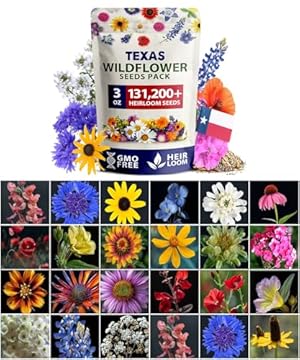 best flowers for texas heat