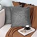 pendali Housse de Coussin Taie d'oreiller Souple Décoratif en Velours Carré de Couleur Unie avec Fermeture Glissière Invisible, Lot de 2 Housses de Coussin pour Canapé de Salon 45x45 cm, Gris Argent