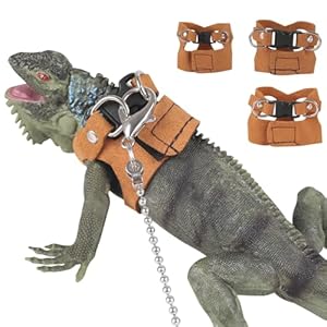 Bearded Dragon Harness & Leash Set, 3 Size Squirrel Harness & Leash, Rat Walking Harness for Reptiles Small Animals Lizards Geckos Bearded Dragons Guinea Pigs Chinchillas Hamsters