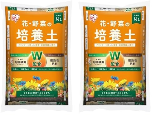 ACXI[} cyf×Ɍ엿 z ԁE؂̔|{yPSk (× 2)