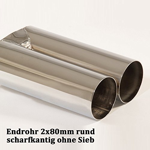 Friedrich Motor Sport Duplex scarico silenziatore